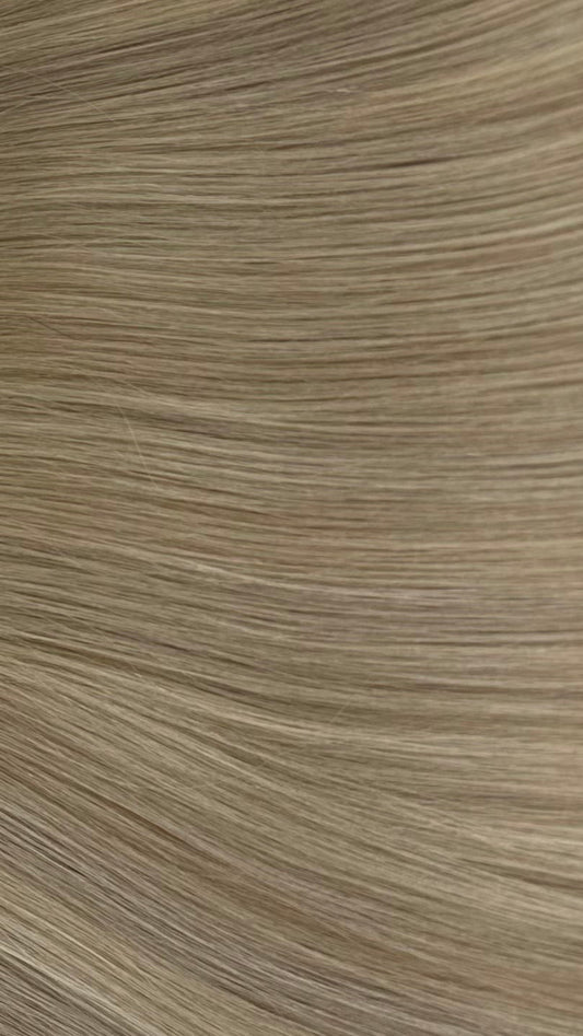 CHESTNUT SIGNATURE BLONDE